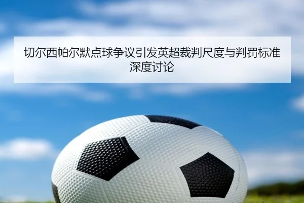 切尔西帕尔默点球争议引发英超裁判尺度与判罚标准深度讨论